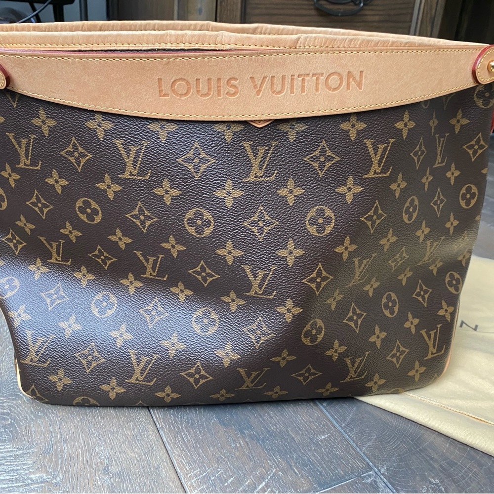 VGUC Louis Vuitton Delightful Shoulder Bag